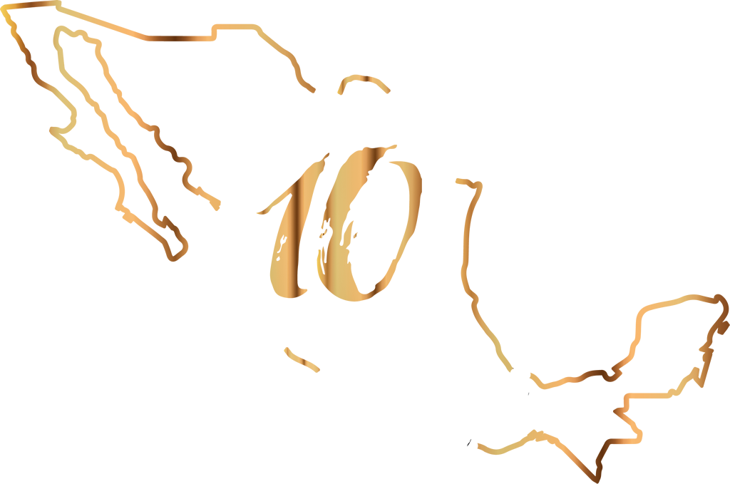 10 Experiences